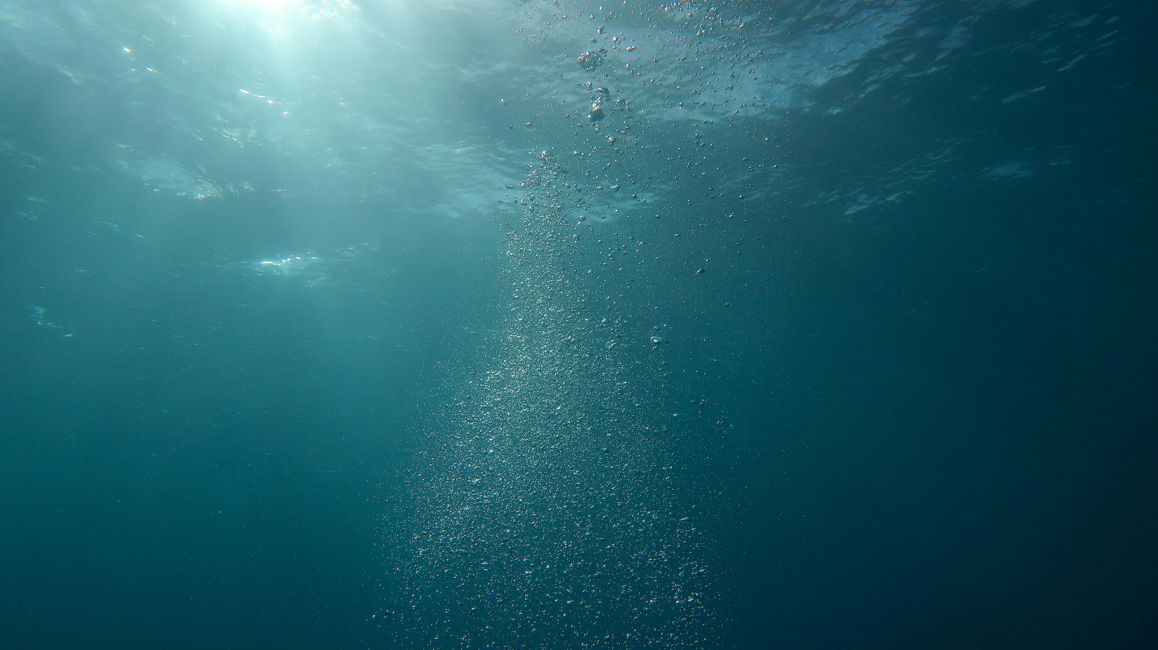 Underwater reef scene